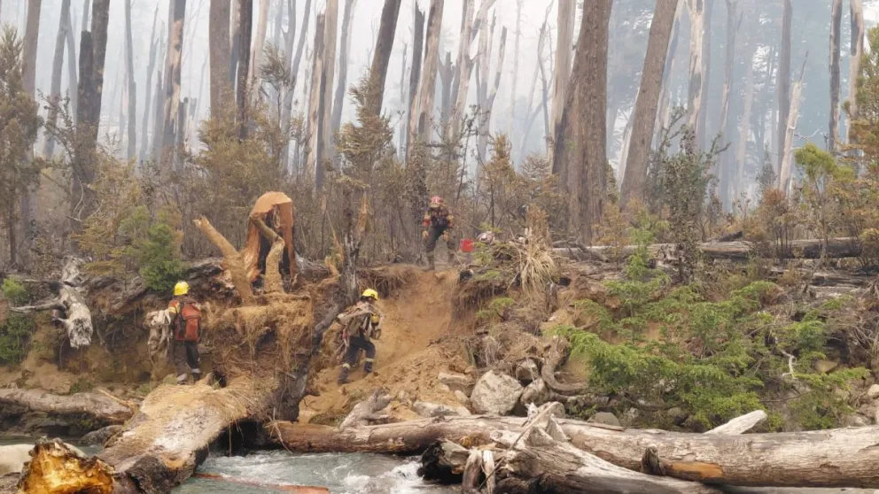 Si bien el fuego sigue activo, lograron contener el avance después de días de arduo trabajo. Foto: Servicio Provincial de Manejo del Fuego.