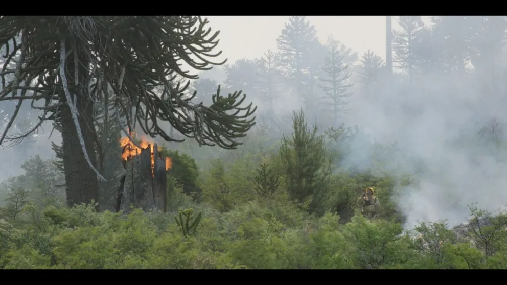 El documental retrata la vida diaria de los brigadistas en el terreno. Foto: gentileza.