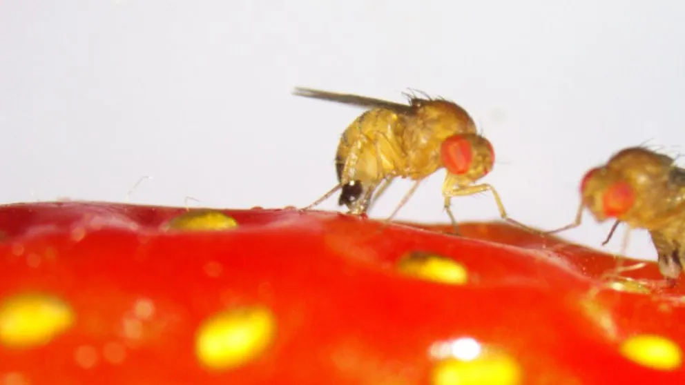 Foto ilustrativa / Gentileza. 