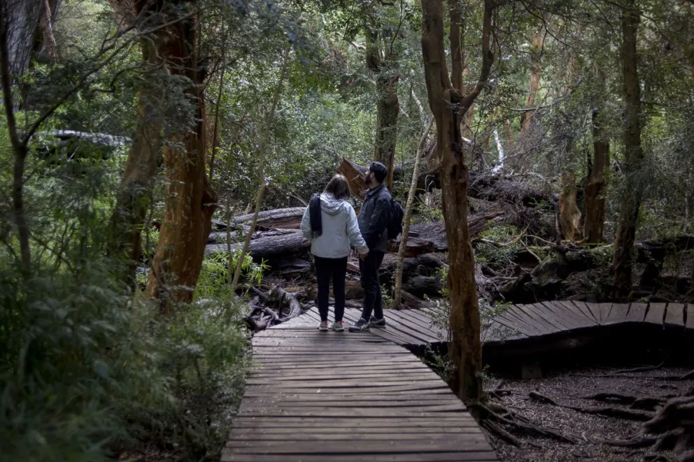 Ahora, los guardabosques municipales tendrán injerencia en toda la ciudad. Foto: archivo Marcelo Martínez.