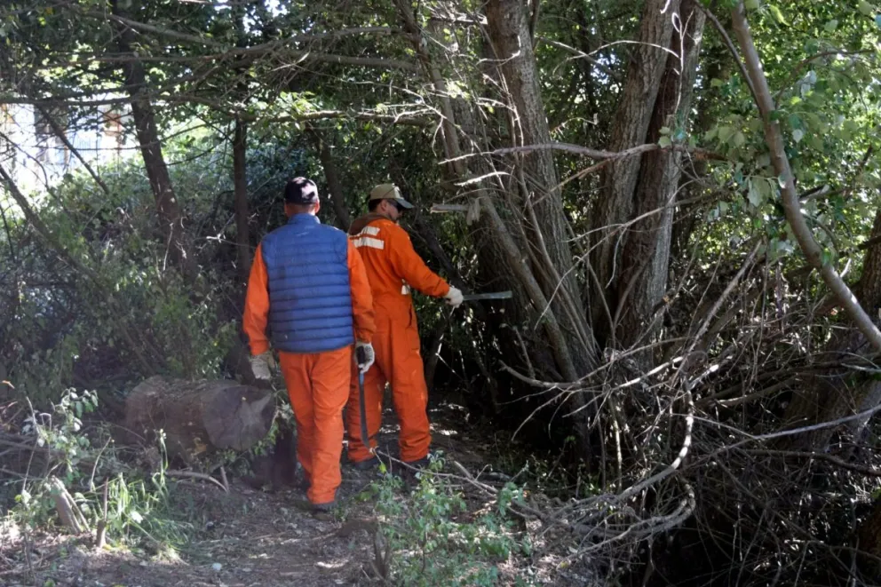Se ejecutaron tareas de desmalezamiento, retiro de ramas, además de la realización de un cortafuegos preventivo en cercanías de las viviendas. Foto: Bariloche Informa.