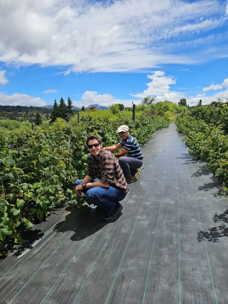Aldo Fenoglio junto a Llewellyn Kast, el ingeniero agrónomo con el que trabajan en la plantación. Foto: gentileza.