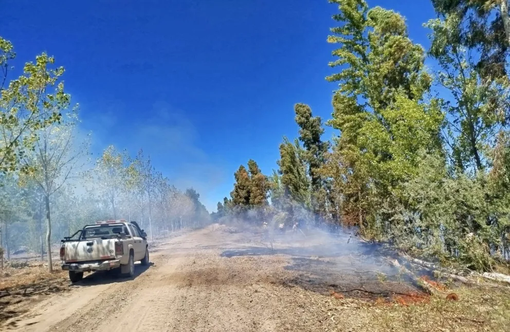 Una quema no autorizada fue el origen del fuego que arrasó con más de 1800 hectáreas. Foto gentileza 