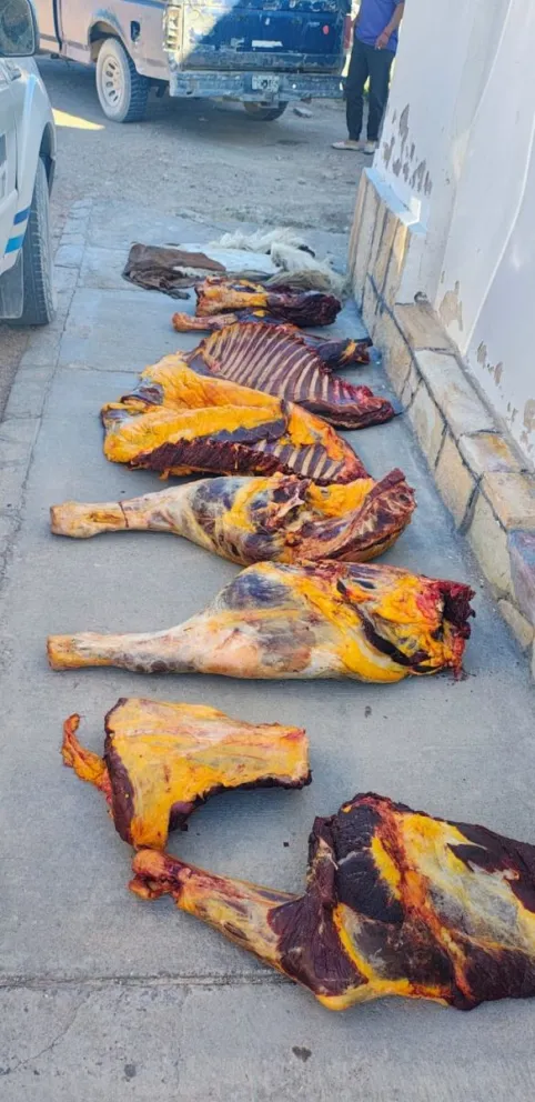 Foto gentileza: Policía de Río Negro. 