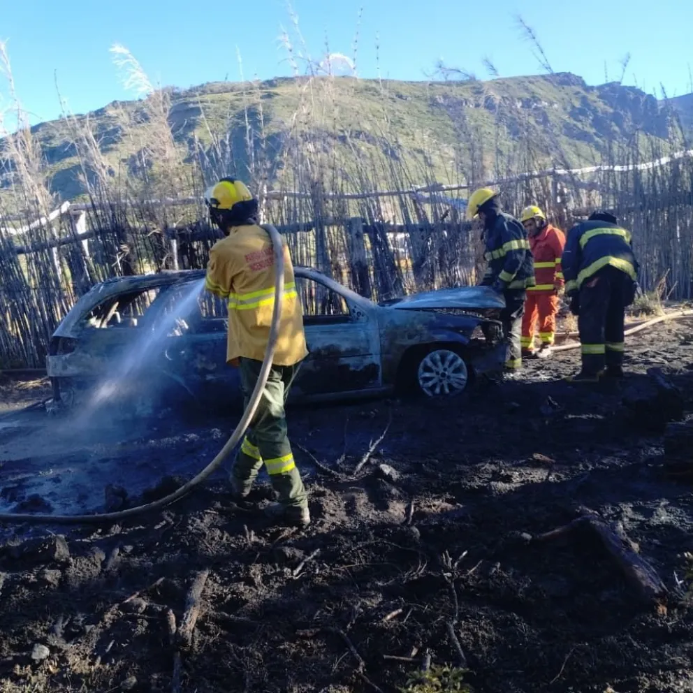 El hecho se registró en medio de días de intenso calor. Fotos: Parque Nacional Lanín.