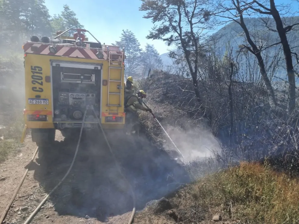 A las 15 horas se recibió una denuncia por una columna de humo. Foto: Parque Nacional Lanin.