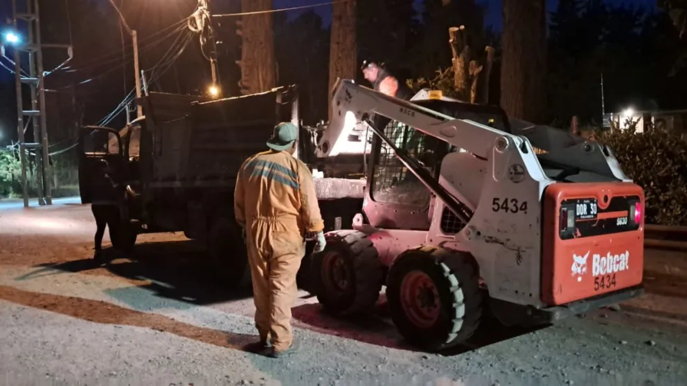 La intervención se realiza entre las 4 y las 8 de la mañana durante tres jornadas consecutivas.. Fotos: Bariloche Informa.