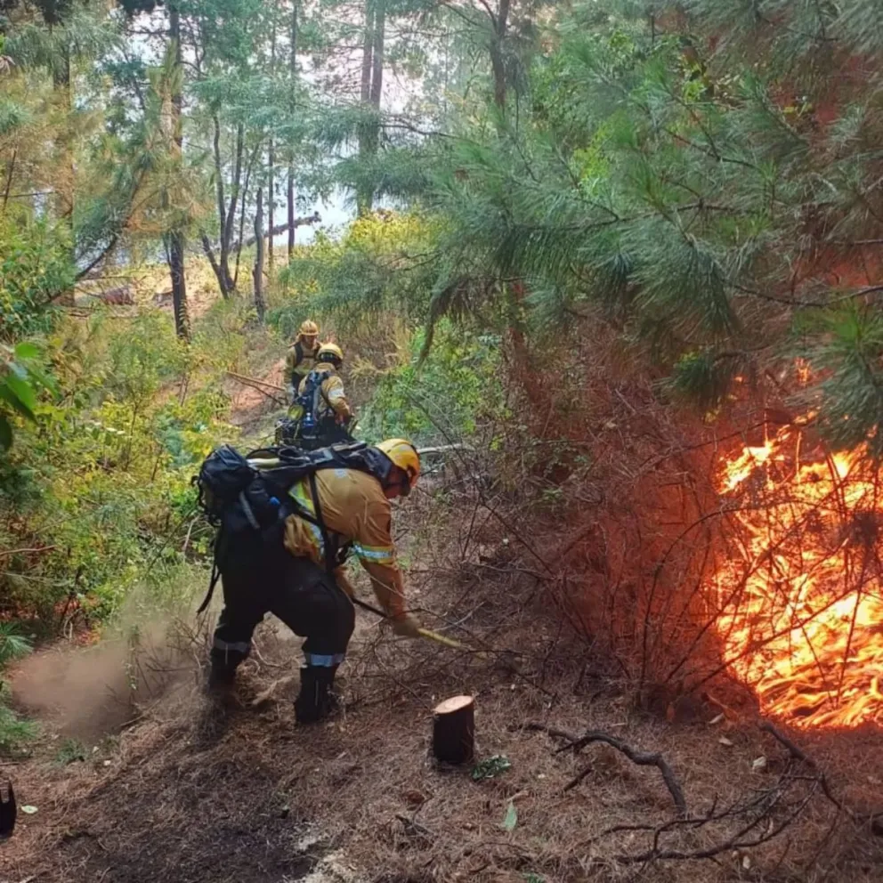 El trabajo por estas horas es arduo, con muchos frentes que atacar. Foto gentileza 