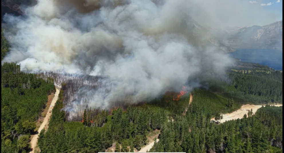 El fuego iniciado el 5 de enero ya arrasó con más de 2 mil hectáreas de bosque. 