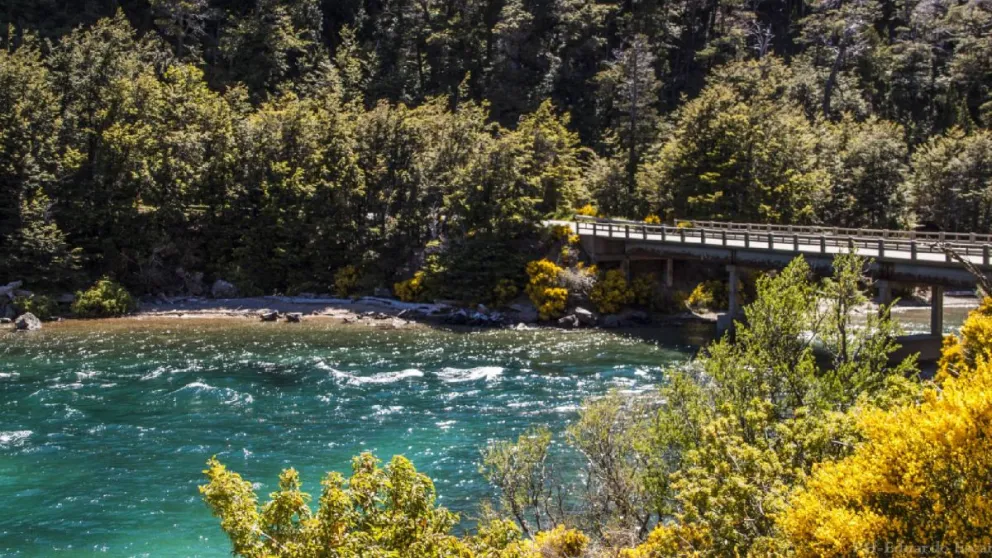 Los turistas encendieron un asador portatil cerca de la vegetación nativa. 