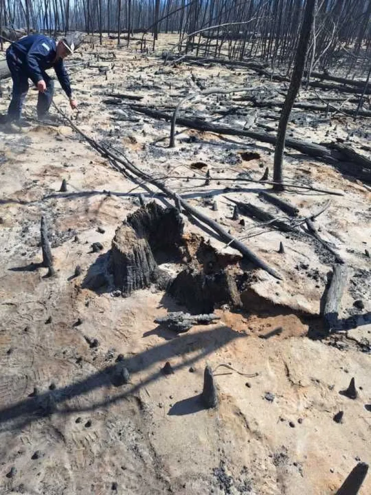 El fuego comenzó el lunes y avanzó rápidamente, arrasando con casas, maquinarias, animales y sectores productivos. 