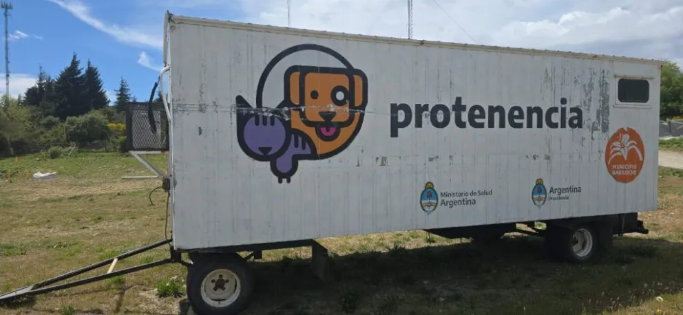 Las castraciones se realizarán en el predio del centro comunitario, en Los Andes y Osorno. Foto: ilustrativa.