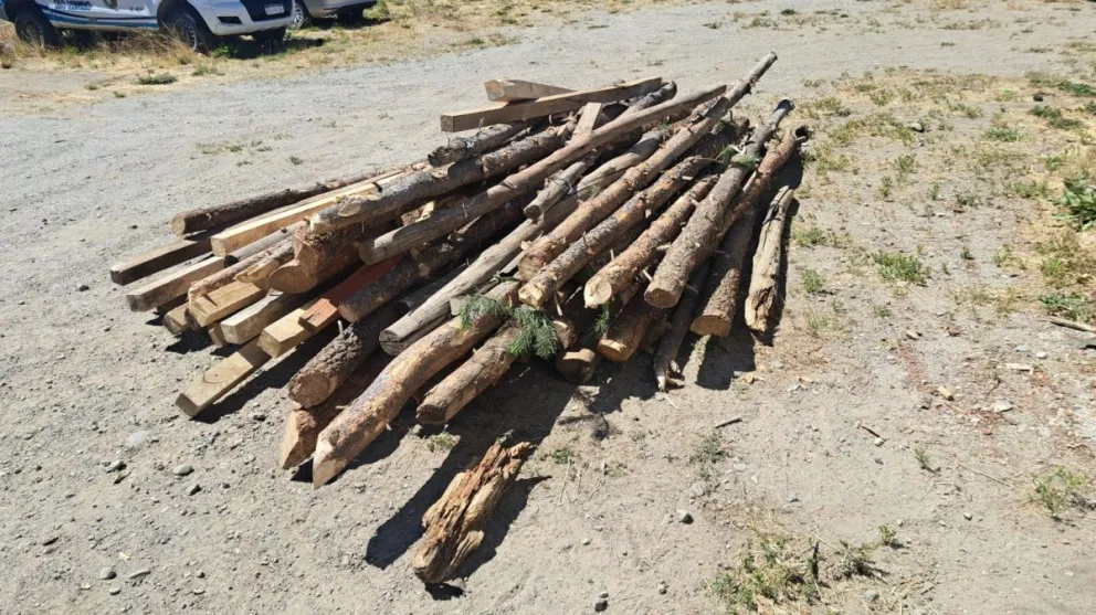 Los postes utilizados para delimitar los terrenos ocupados. Fotos gentileza 