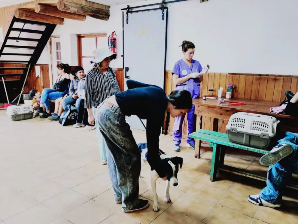 La próxima semana el quirófano móvil llegará al barrio Quimey Hue. Fotos: Municipalidad de Bariloche