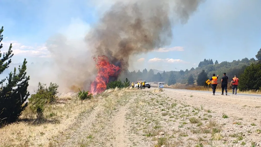 La columna de humo puede observarse desde distintos puntos de la ciudad. Foto gentileza 