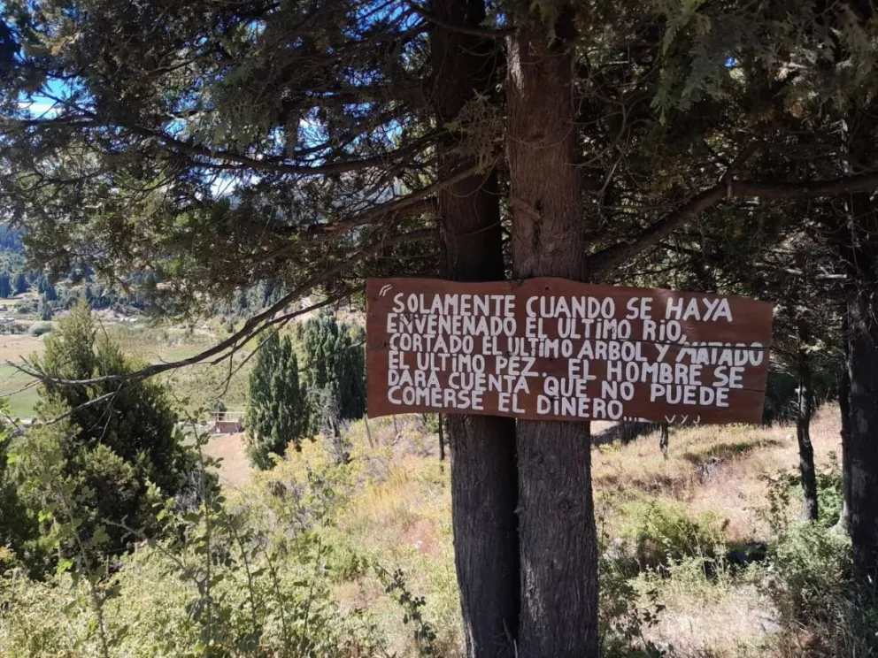 El capitulo 2 abarca el cuidado en el Bosque Andino. Foto gentileza. 