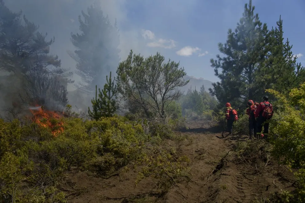  Cualquier columna de humo o situación de riesgo debe ser comunicada de inmediato al 103. Foto: Ilustrativa, Marcelo Martínez.