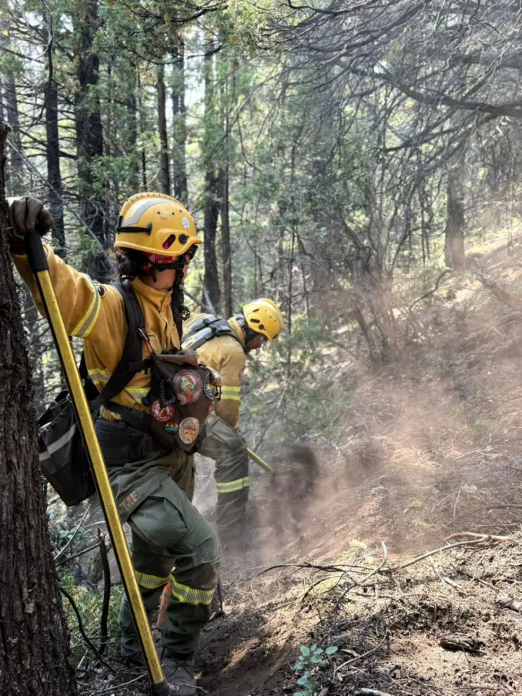 El trabajo de los brigadistas y bomberos no da abasto en medio de un avance feroz del fuego. Foto: ilustrativa.