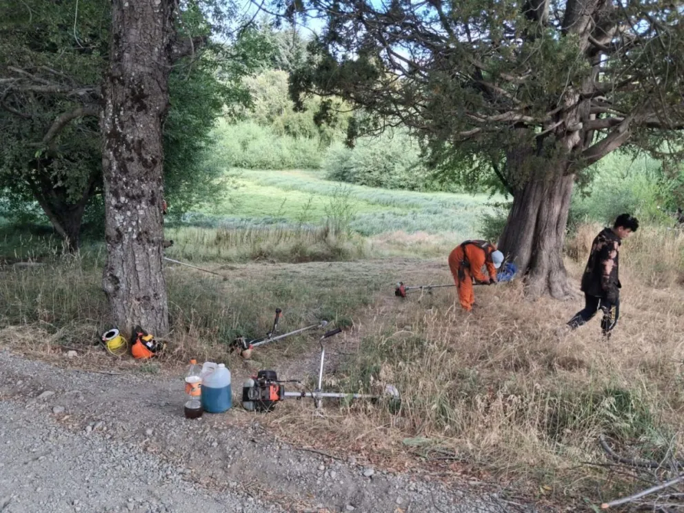 En los últimos días se llevaron a cabo diferentes trabajos en paseos y lugares públicos. Fotos: Municipalidad de Bariloche.
