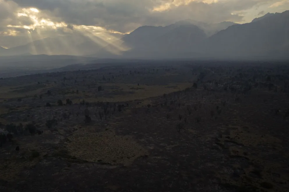 El fuego arrasó con más de 230 mil hectáreas en la Patagonia. Foto: Marcelo Martínez.