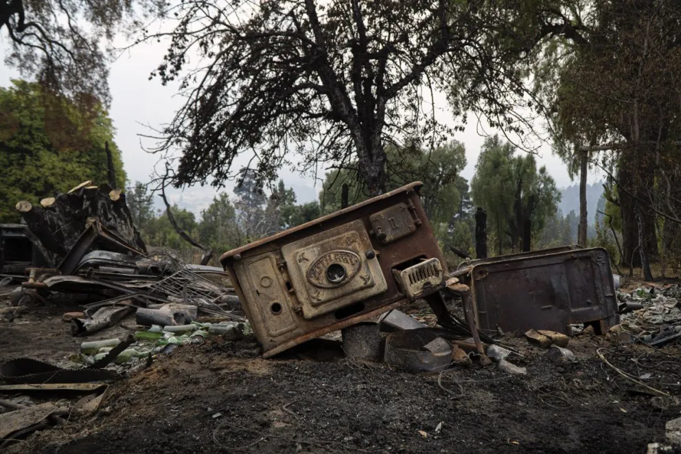 Más de 230 mil hectáreas fueron arrasadas por el fuego en la Patagonia. Foto: Marcelo Martínez.