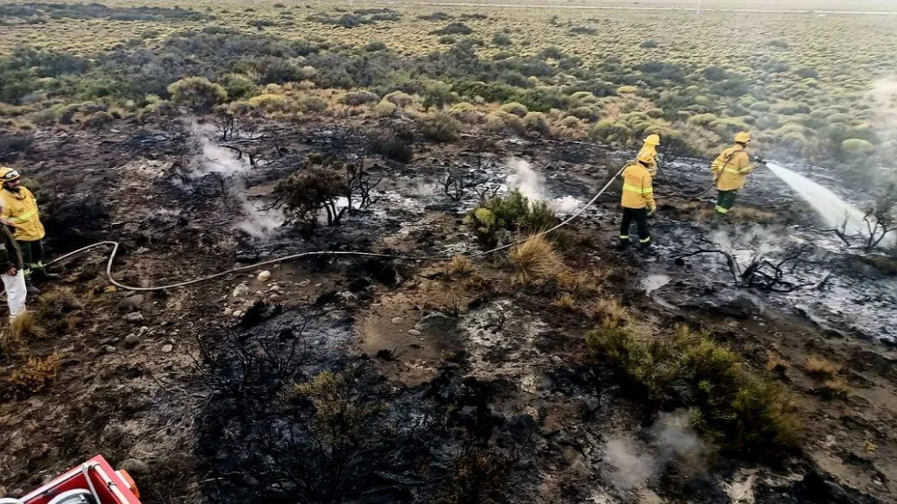 Los dos focos fueron detectados con rapidez, lo que facilitó la contención del fuego. Fotos: Parque Nacional Nahuel Huapi-