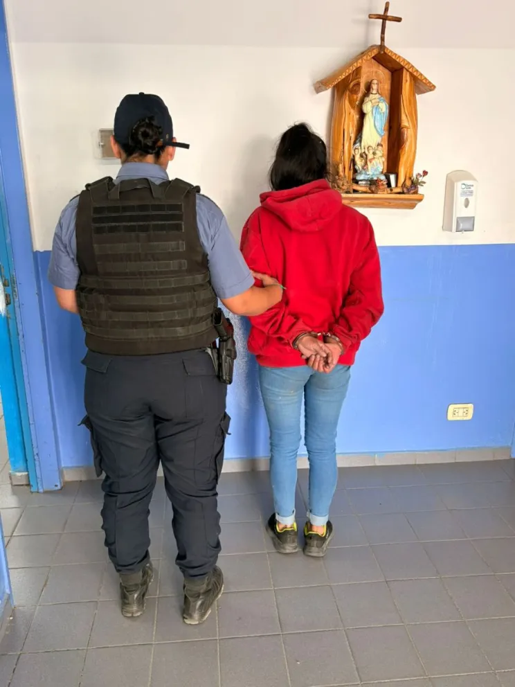  La mujer quedó detenida por el delito de hurto.