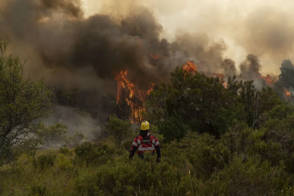 El fuego continúa avanzando y mantiene a la comunidad en alerta. Fotos: Marcelo Martínez.