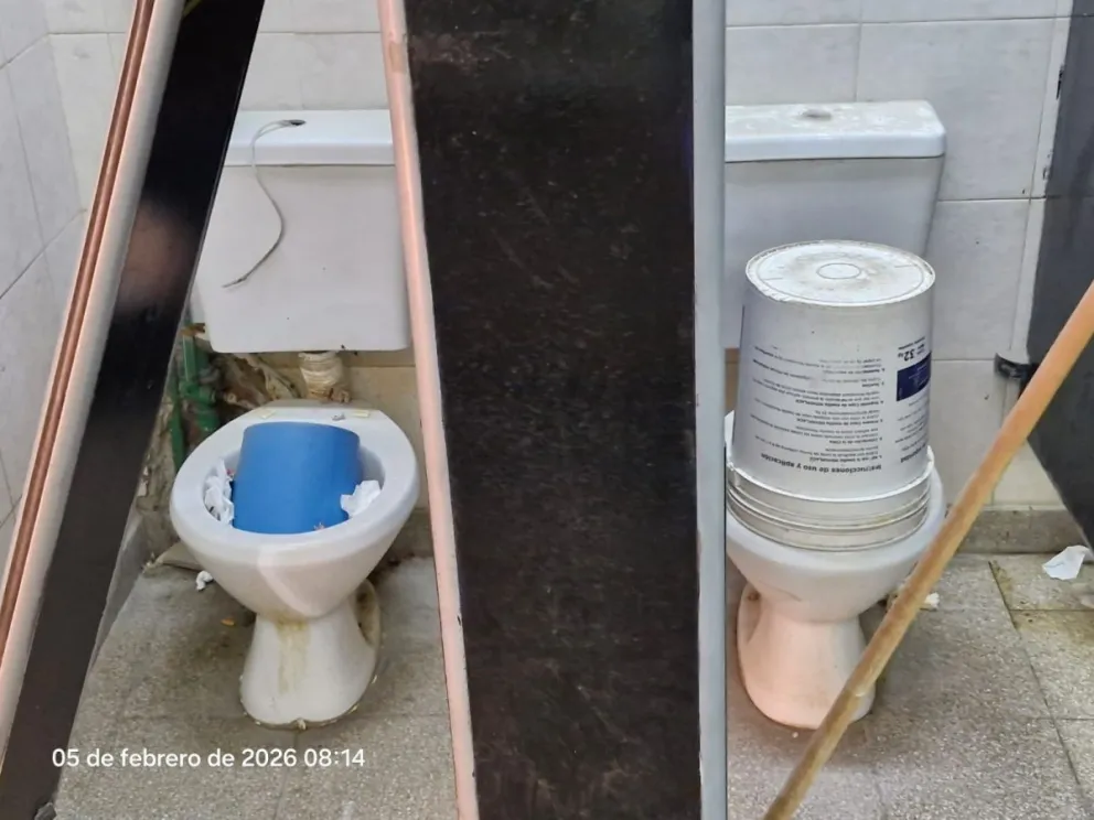 Miles de personas cruzan por el paso fronterizo con Chile durante el verano. Fotos: Gentileza ANB.