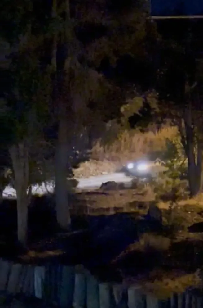 El episodio ocurrió detrás del edificio A5 de barrio El Cóndor.