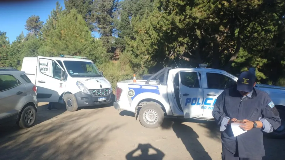 El hallazgo se produjo cerca de las 16 horas de este viernes. Foto gentileza. 