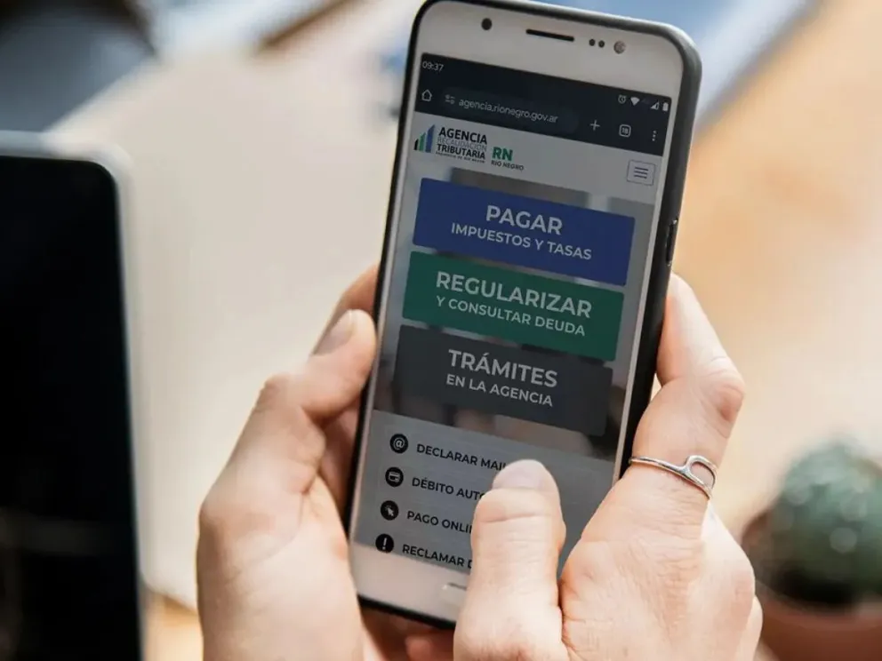 Del total de pagos registrados, 90.589 corresponden al Impuesto Inmobiliario y 78.550 al Automotor. 