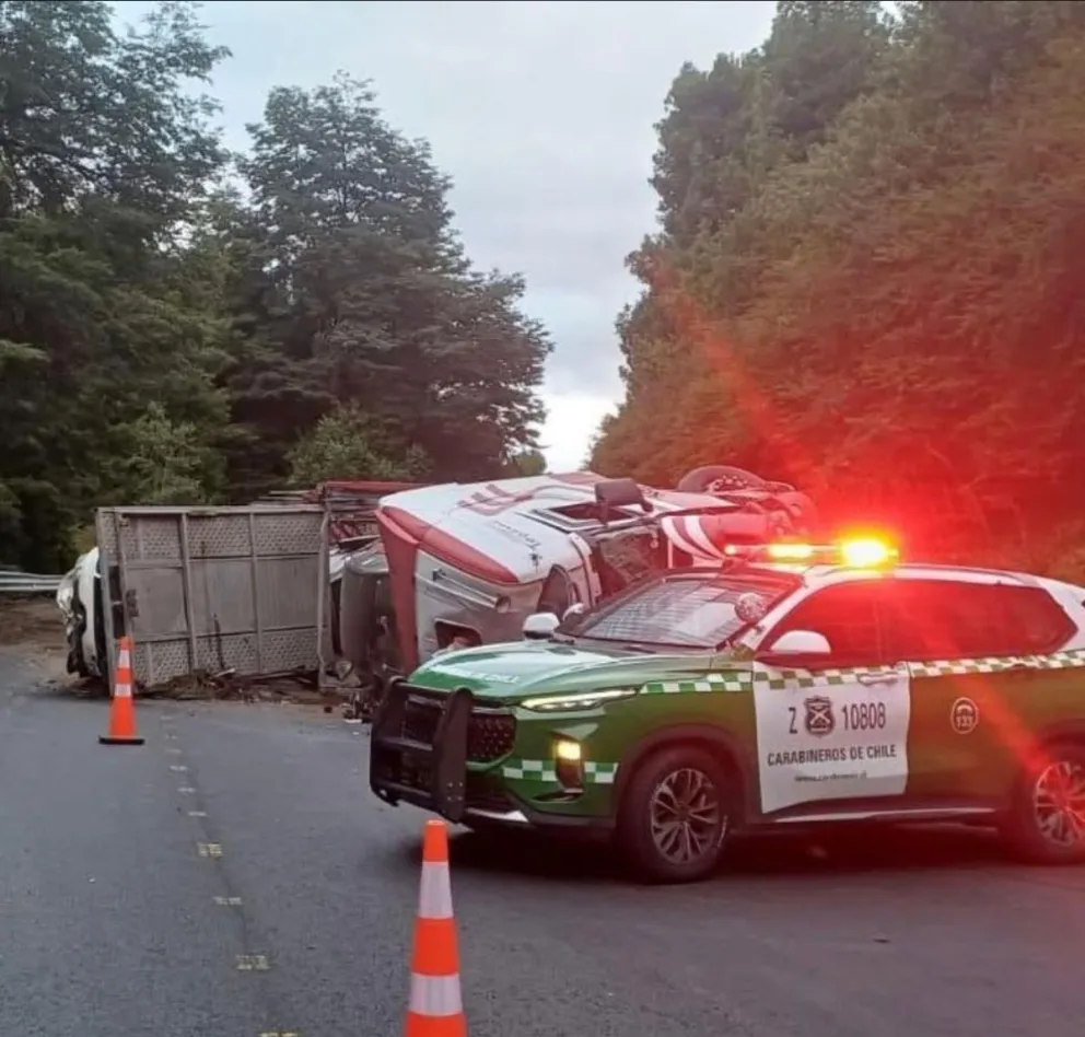El camión de patente chilena, transportaba ocho vehículos. Foto: gentileza.
