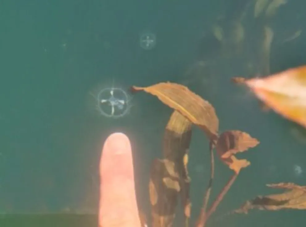 Fotos gentileza: Mariana Reissig / Brandon Antonio Segura Torres