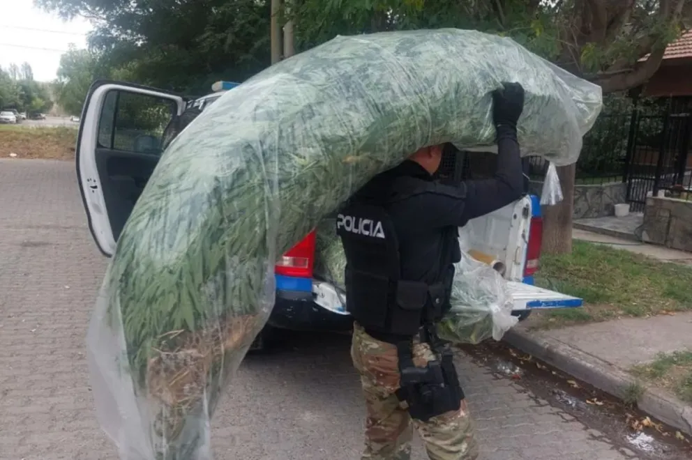 El operativo de investigación se llevó a cabo luego de una denuncia anónima. 