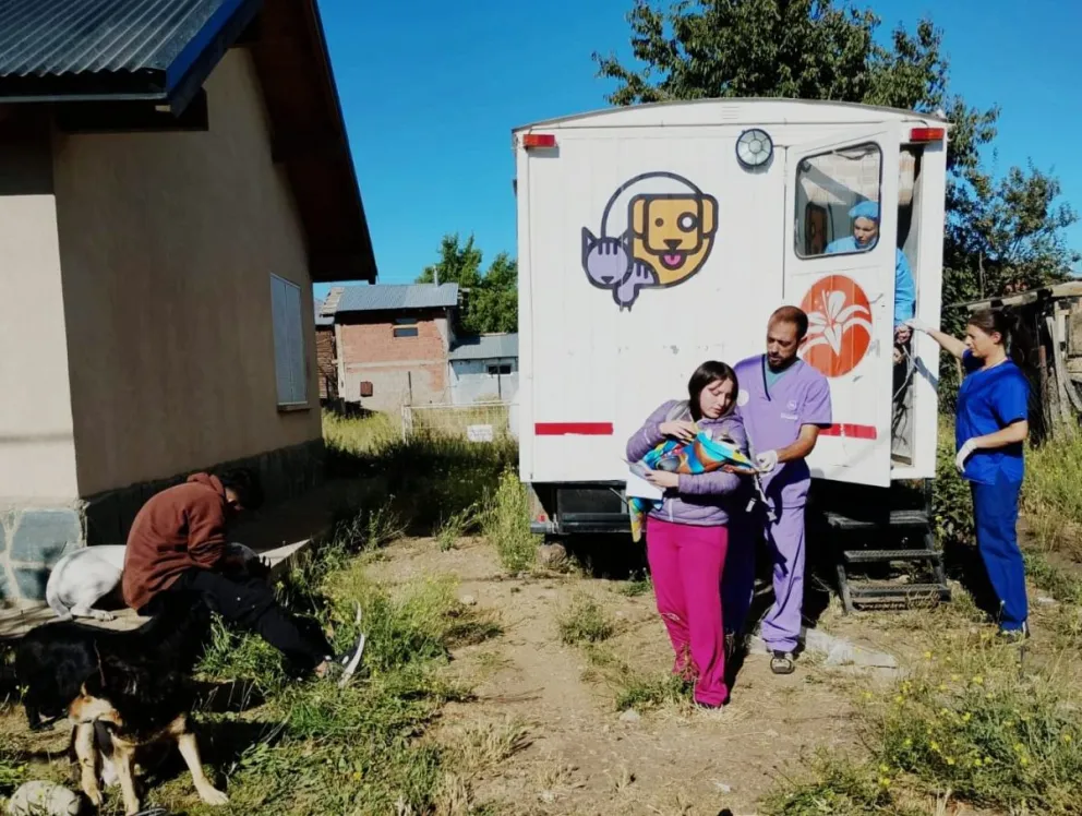 El programa busca acercar servicios a la comunidad. Foto: Municipalidad de Bariloche. 