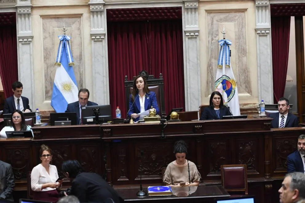 Los integrantes del Senado de la Nación Argentina percibirán desde marzo un nuevo aumento. Foto gentileza 