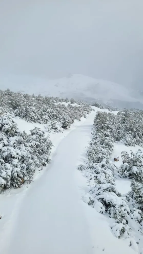 La alerta meteorológica por lluvia y bajas temperaturas se extenderá hasta el próximo miércoles. Fotos: Gentileza ANB.