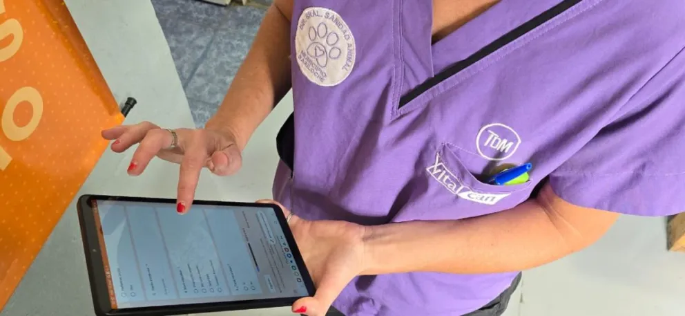 El estudio se realizará mediante encuestas breves, campañas de castración y operativos territoriales. Fotos: Municipalidad de Bariloche. 