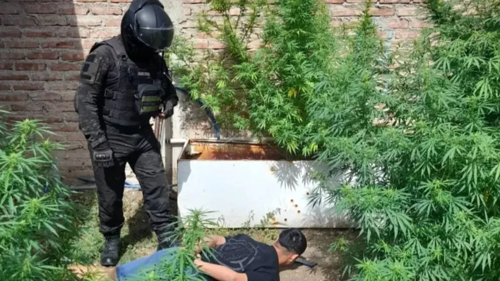 Se desplegó un intenso operativo para poder concretar la detención.