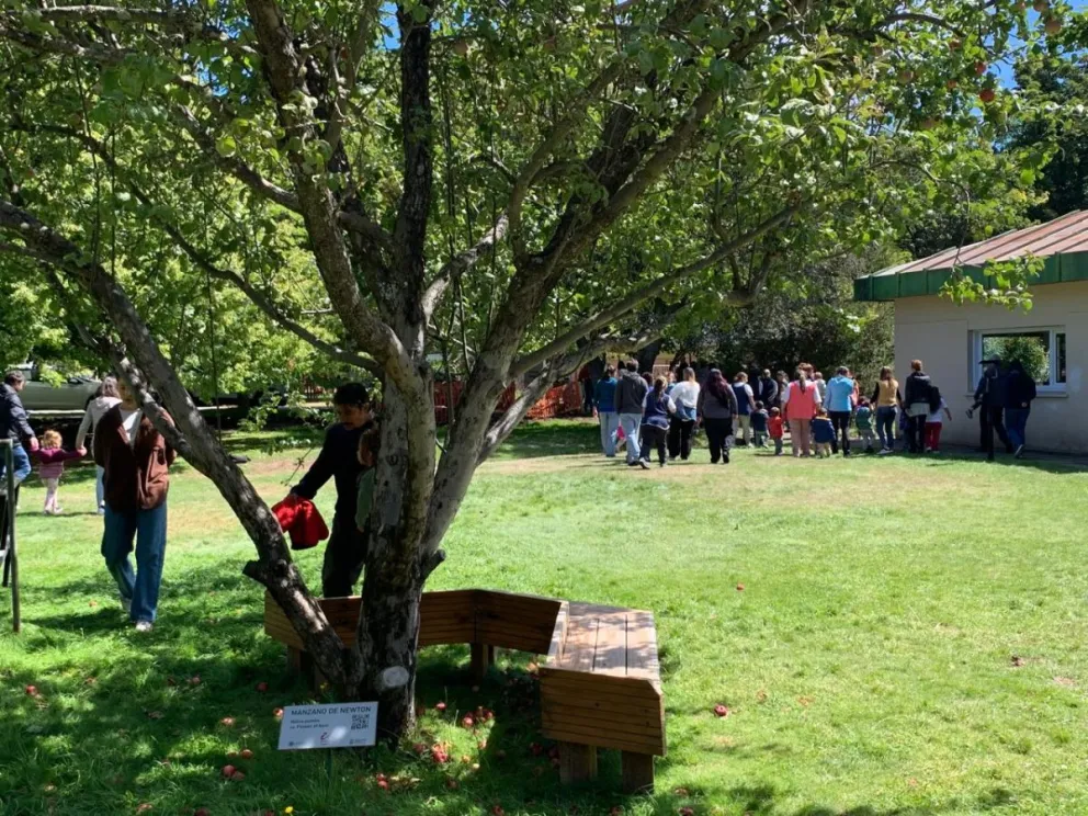 El manzano de Newton fue el punto de encuentro para marcar el inicio institucional entre el jardin y la Fundación. Fotos gentileza 