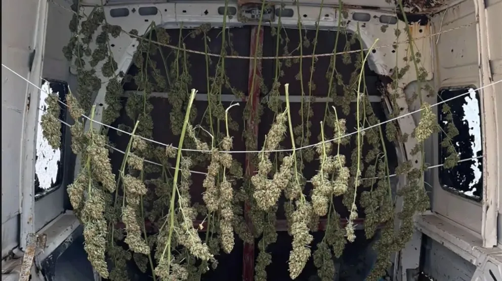 Un nuevo llamado al 0800 Drogas terminó con un exitoso operativo.
