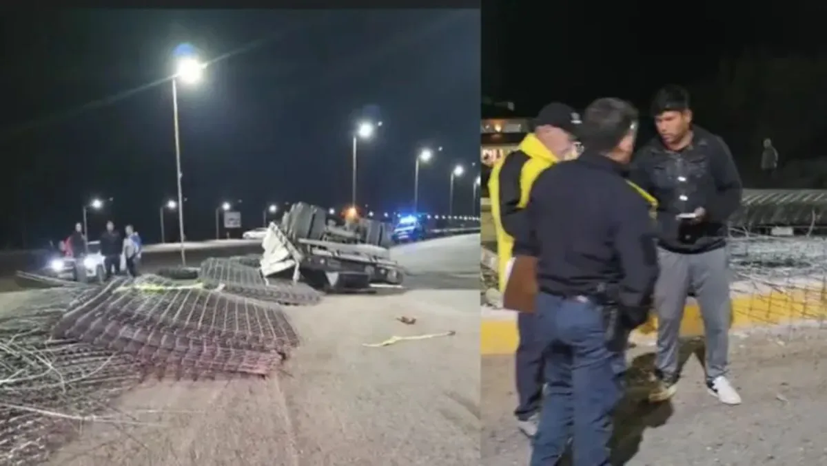 Un camión volcó en el acceso a Rincón de los Sauces tras quedarse sin frenos