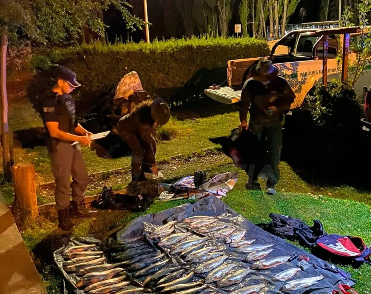 Secuestraron 53 truchas en un control nocturno sobre la ruta 237