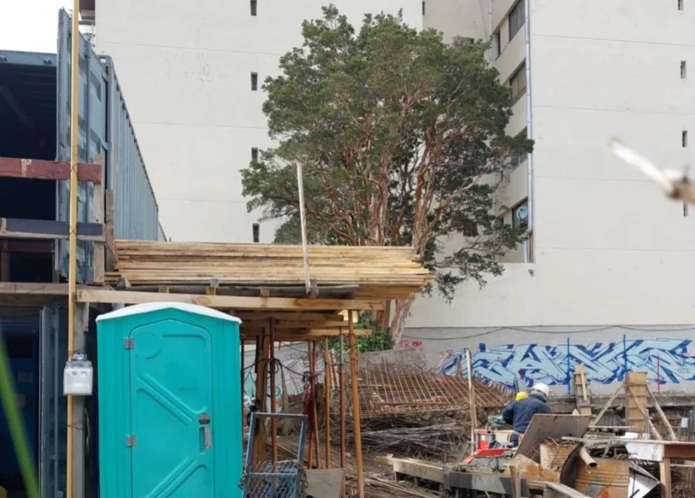 Desde la empresa aseguran que el trabajo de remoción será cargo de especialistas. Foto gentileza. 