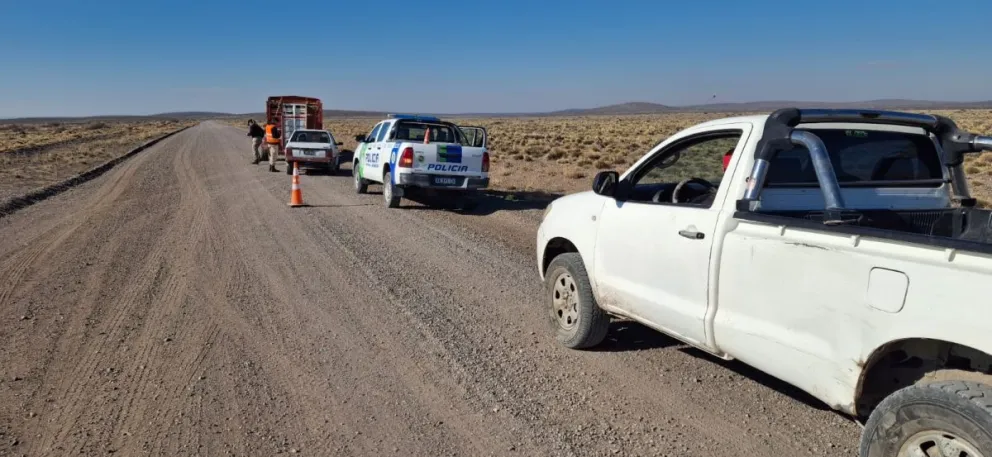 Los controles se realizaron en distintas rutas rurales de la provincia. Foto: Policía de Río Negro.