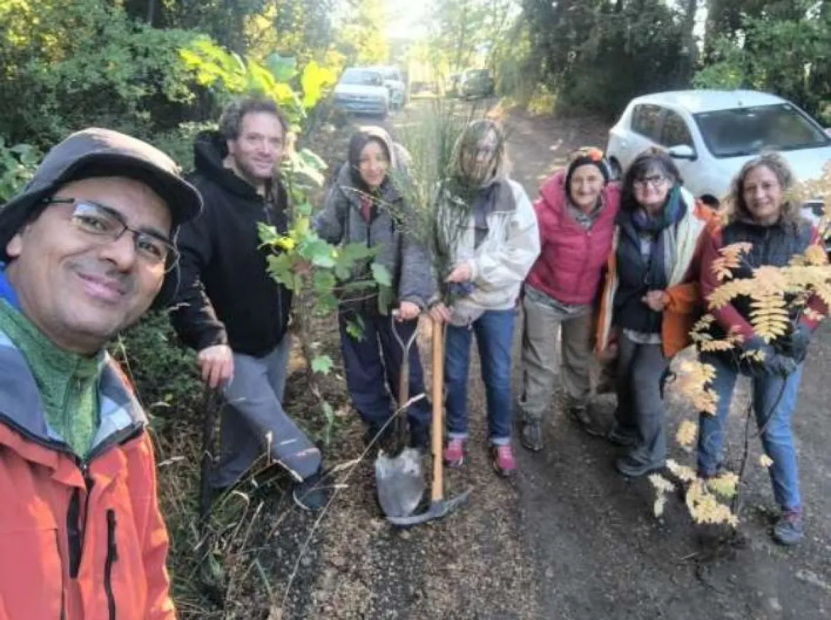 Jornada ambiental en el Bosque de la Ermita: retiraron 470 plantas invasoras para recuperar el ecosistema nativo