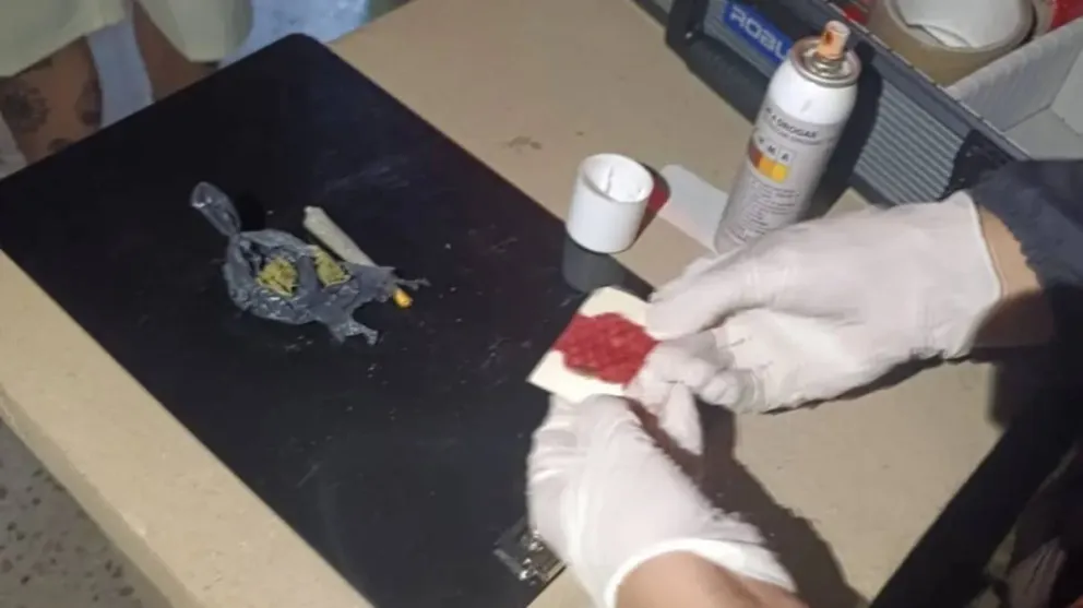 Un operativo fue clave para secuestrar drogas sintéticas.