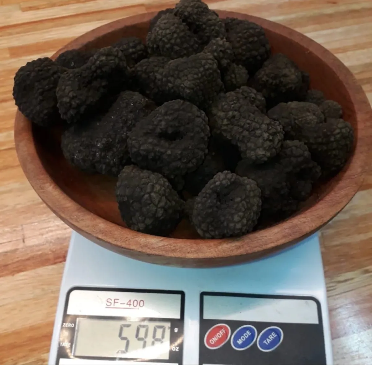 El Bolsón presenta la segunda edición del Festival de la Trufa con entrada a $5.000