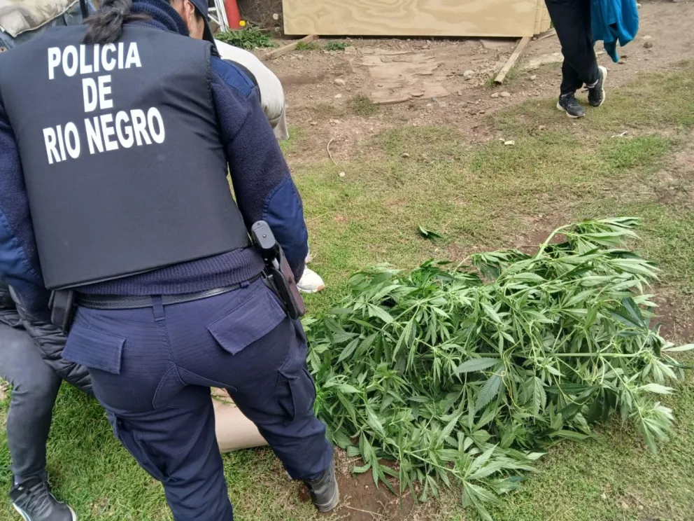Nuevo hallazgo tras un allanamiento. Foto gentileza: Policia RN